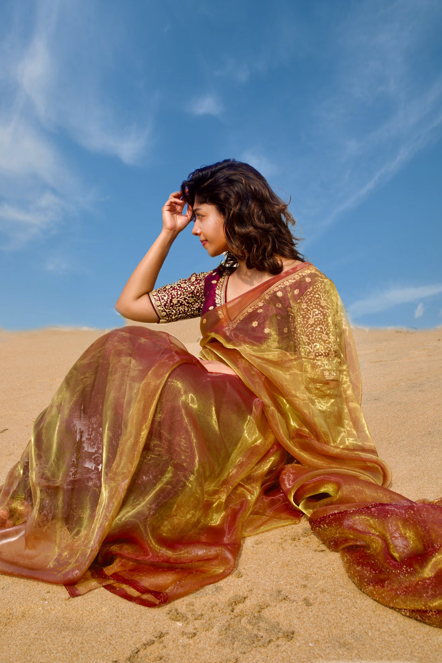 Sunkissed Hazel Organza Saree