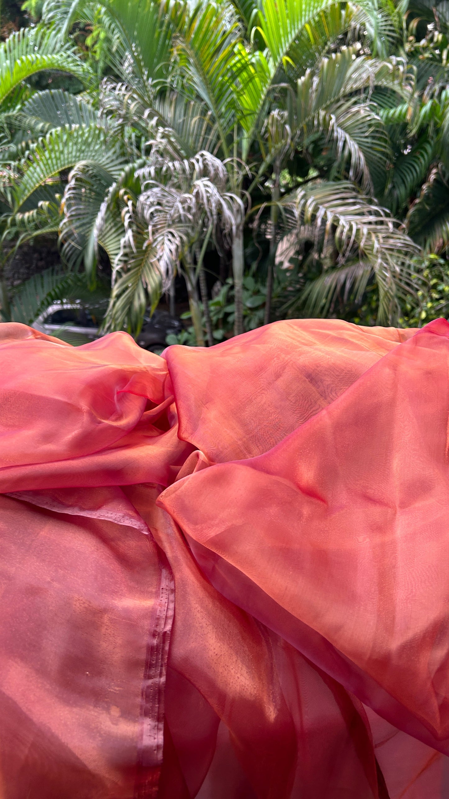 Honey Wine Semi Organza Saree