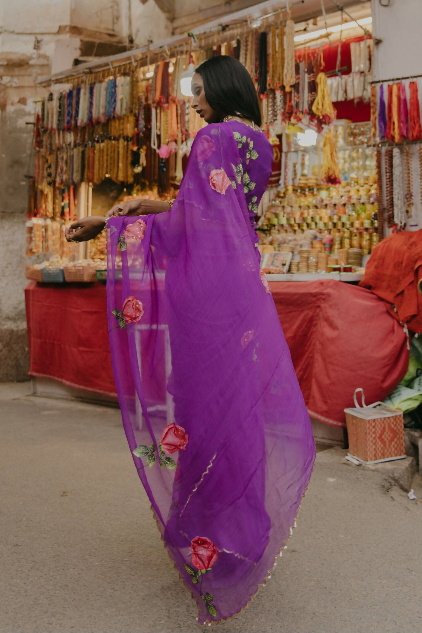 Savina Chiffon Hanpainted Saree