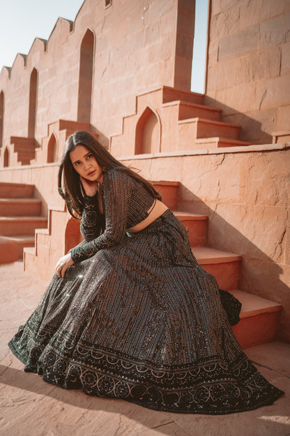 Black Shimmer Chikankari Lehenga