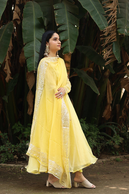 Vaniki Yellow Chiffon Anarkali Set