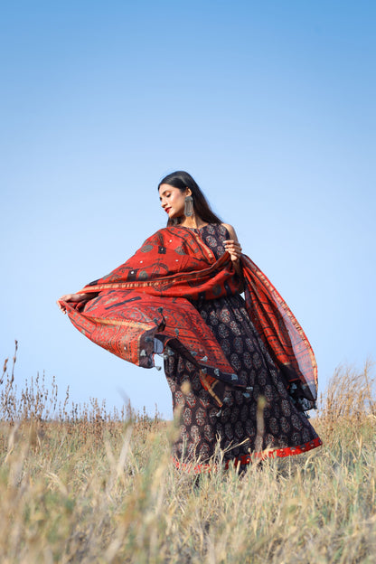 Madder Ajrakh Chanderi Silk Dupatta with Mirror Work