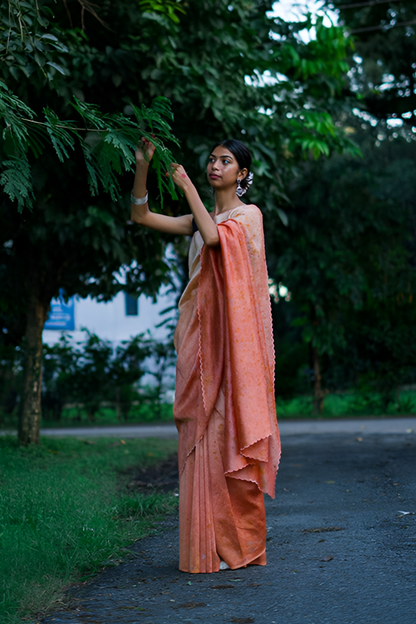 Natural Flower Dyed Avantika Chanderi Silk Saree