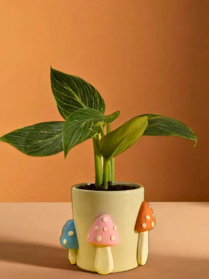 Shroom Boom Ceramic Planter