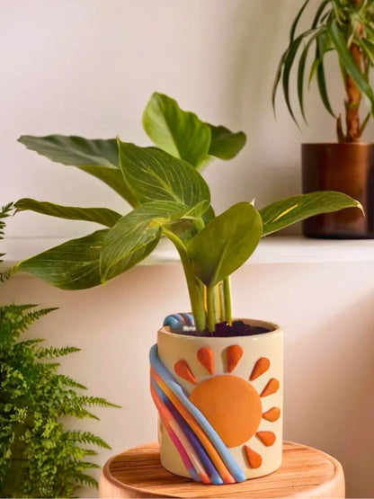 Sunny Days Ceramic Planter