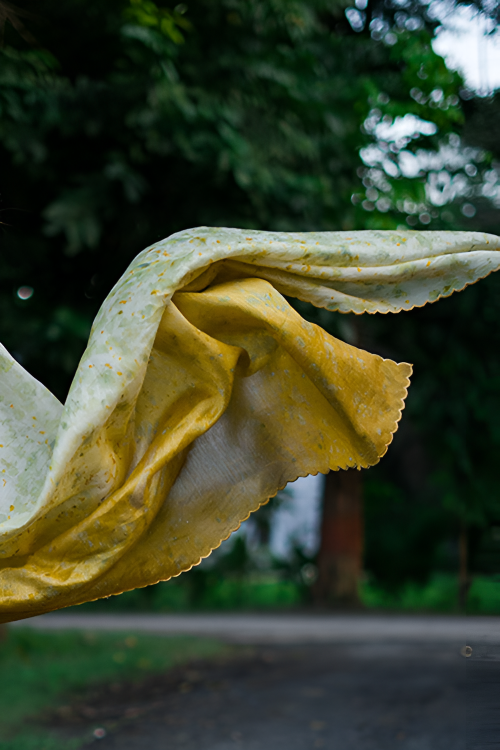 Natural Flower Dyed Ritika Chanderi Silk Saree