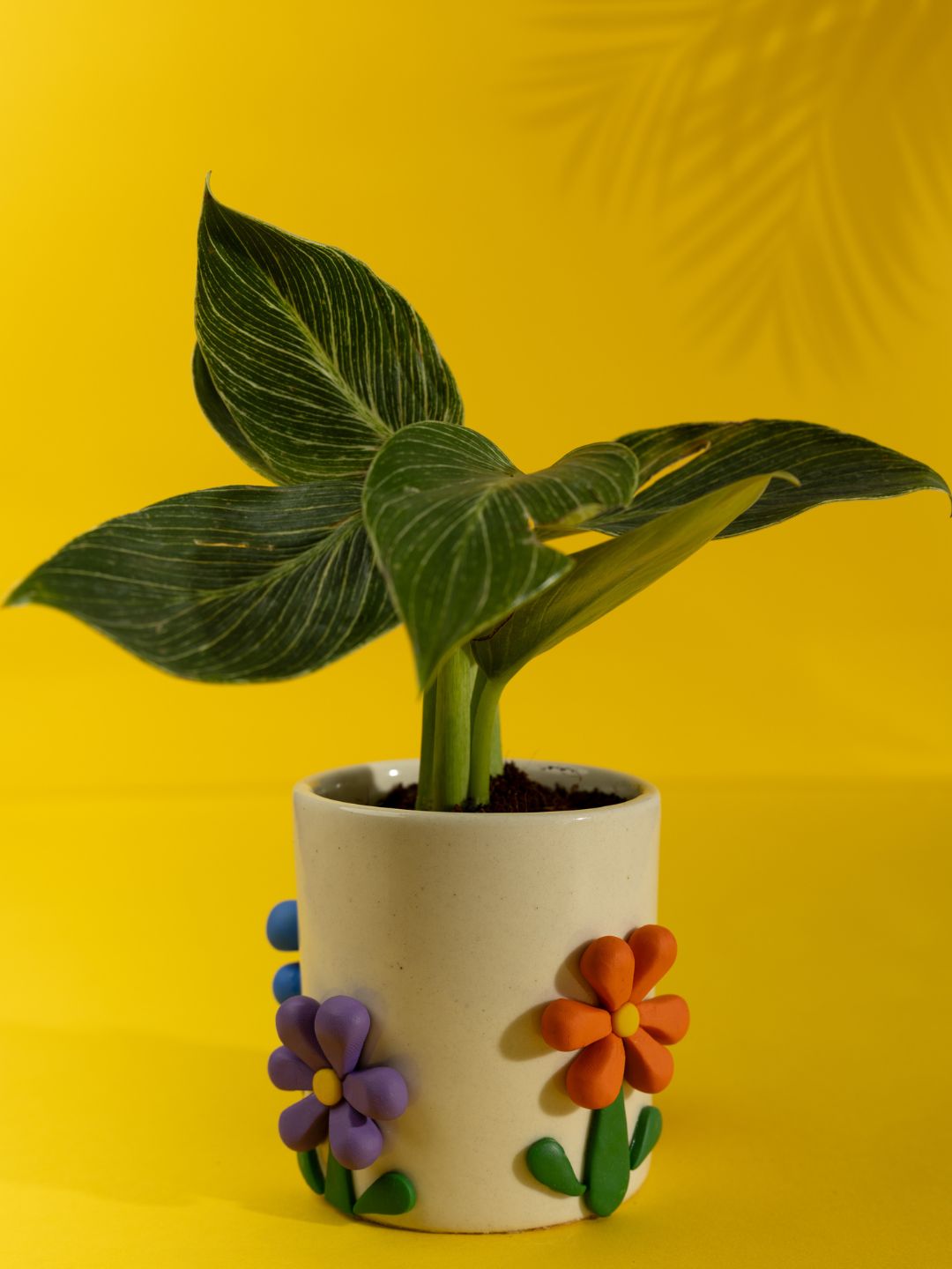 Bloom Boom Ceramic Planter