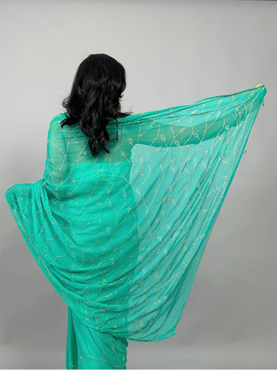 Raina Chiffon Saree