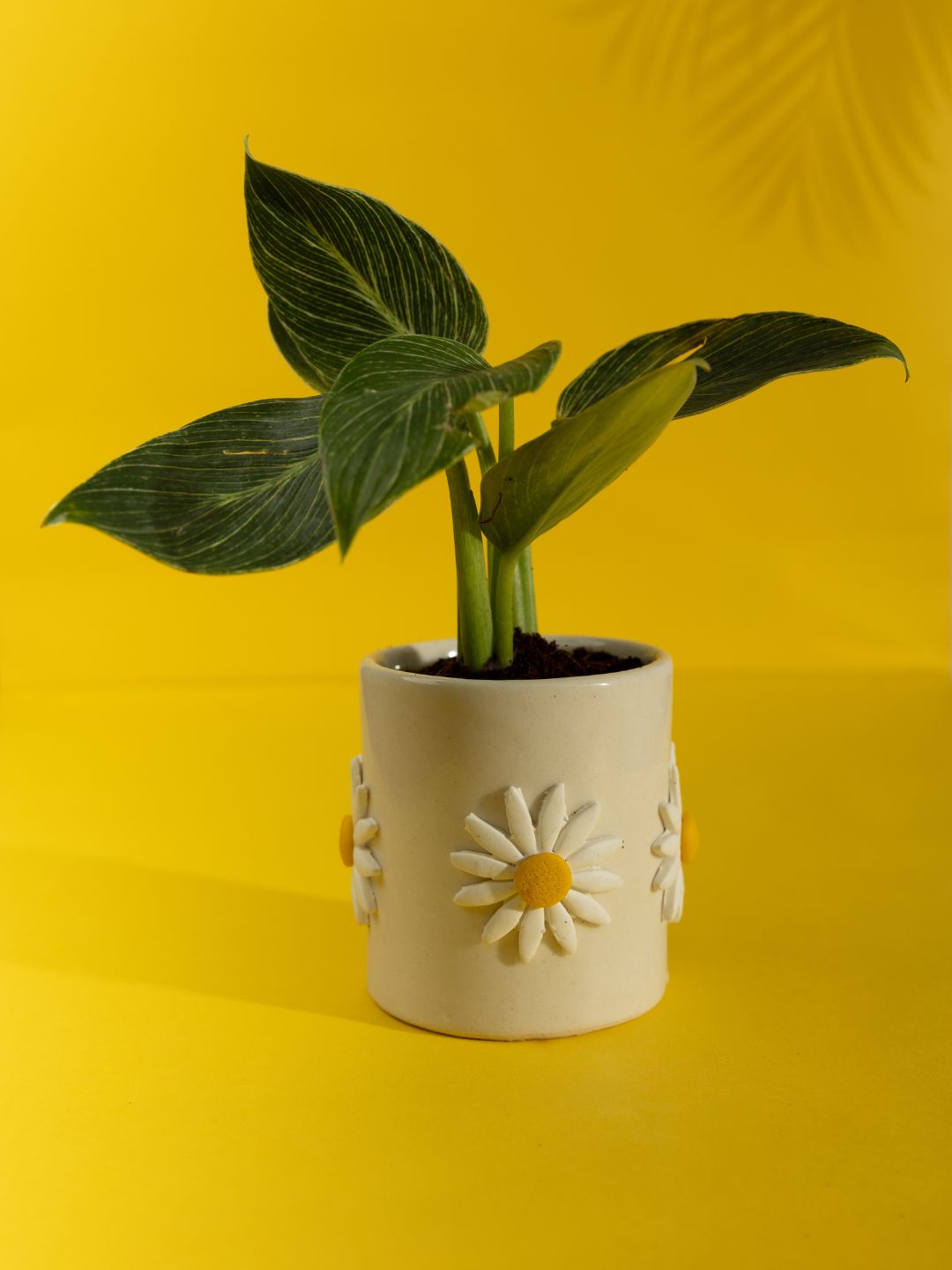 Paradise Ceramic Planter