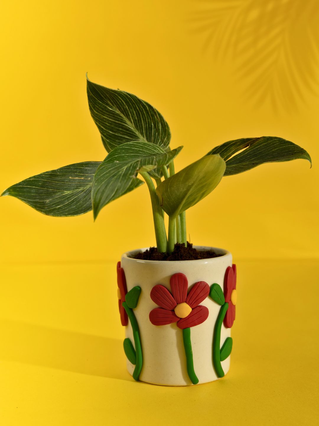 Ruby Ceramic Planter