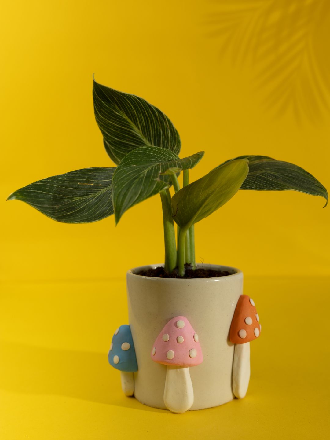 Shroom Boom Ceramic Planter