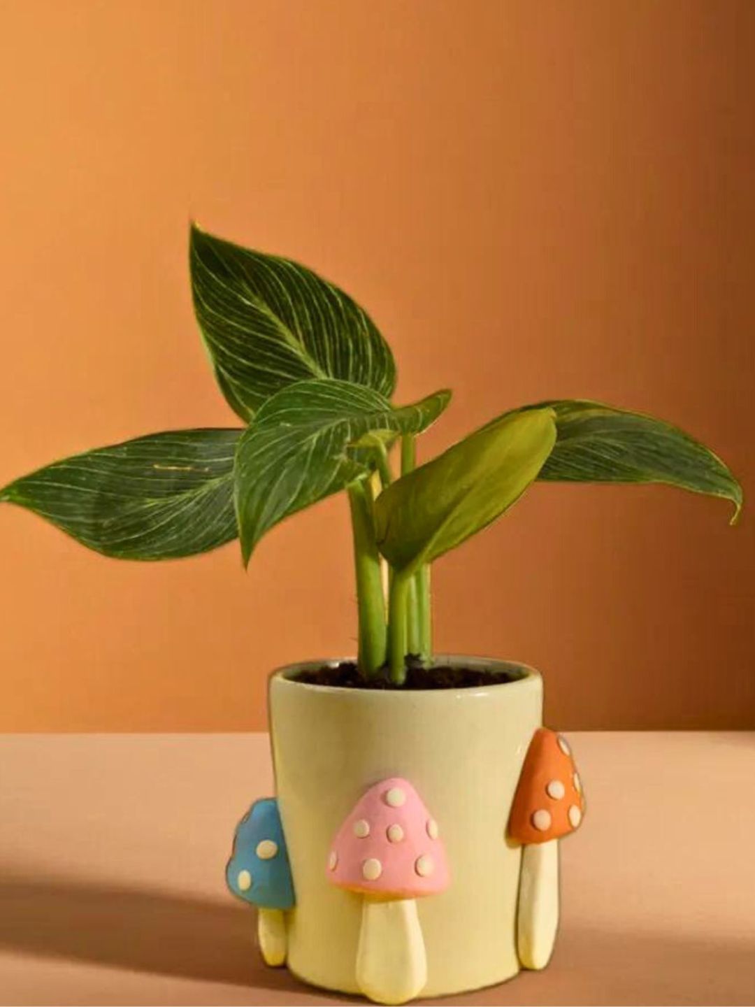 Shroom Boom Ceramic Planter