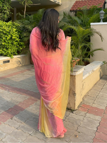 Rani Zari Chiffon Saree