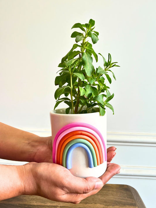 Happy Hues Ceramic Planter