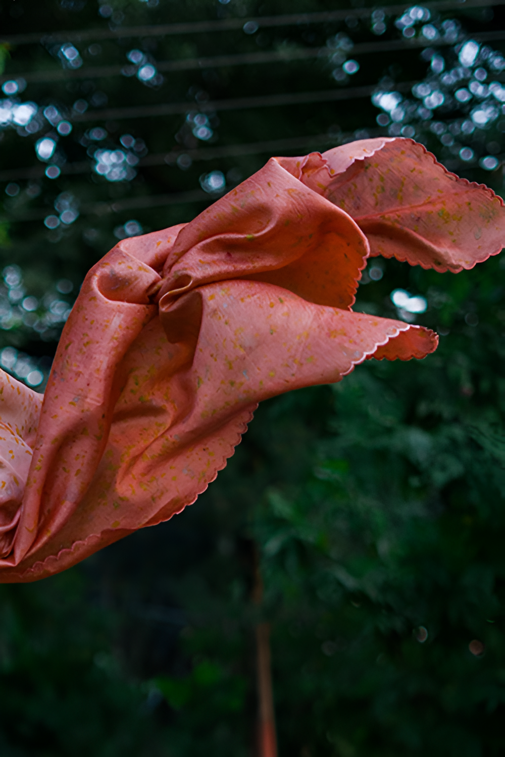 Natural Flower Dyed Avantika Chanderi Silk Saree