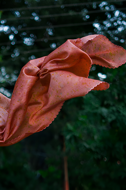 Natural Flower Dyed Avantika Chanderi Silk Saree