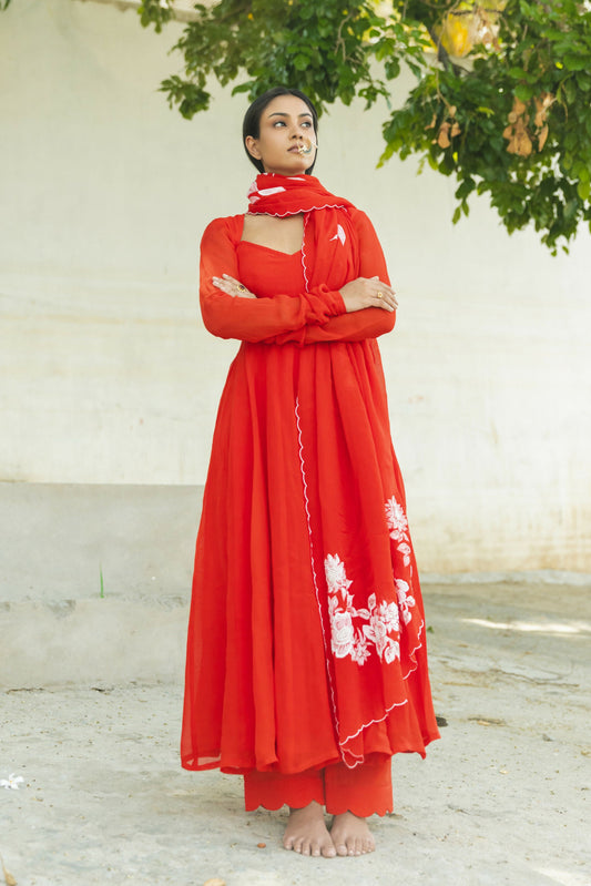 Tara Handpainted Organza Anarkali Set