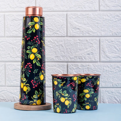 Copper Bottle and Tumblers - Gift Set 4