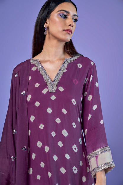 Roshni Kurta Set