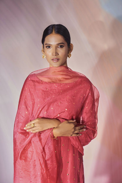 Reha Kurta Set