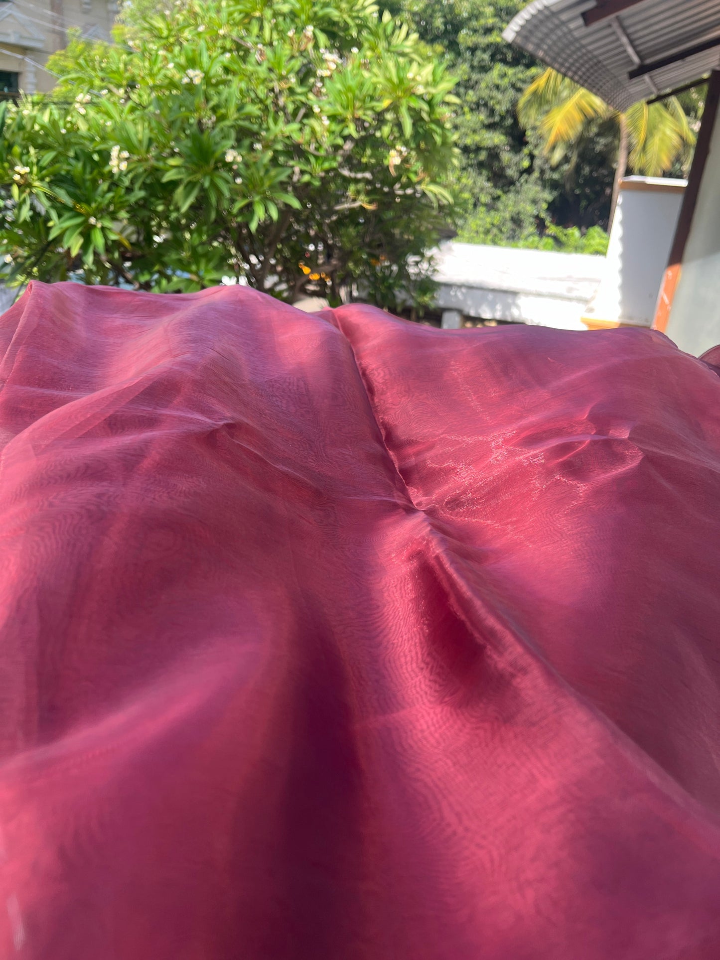 Blood Red Organza Saree