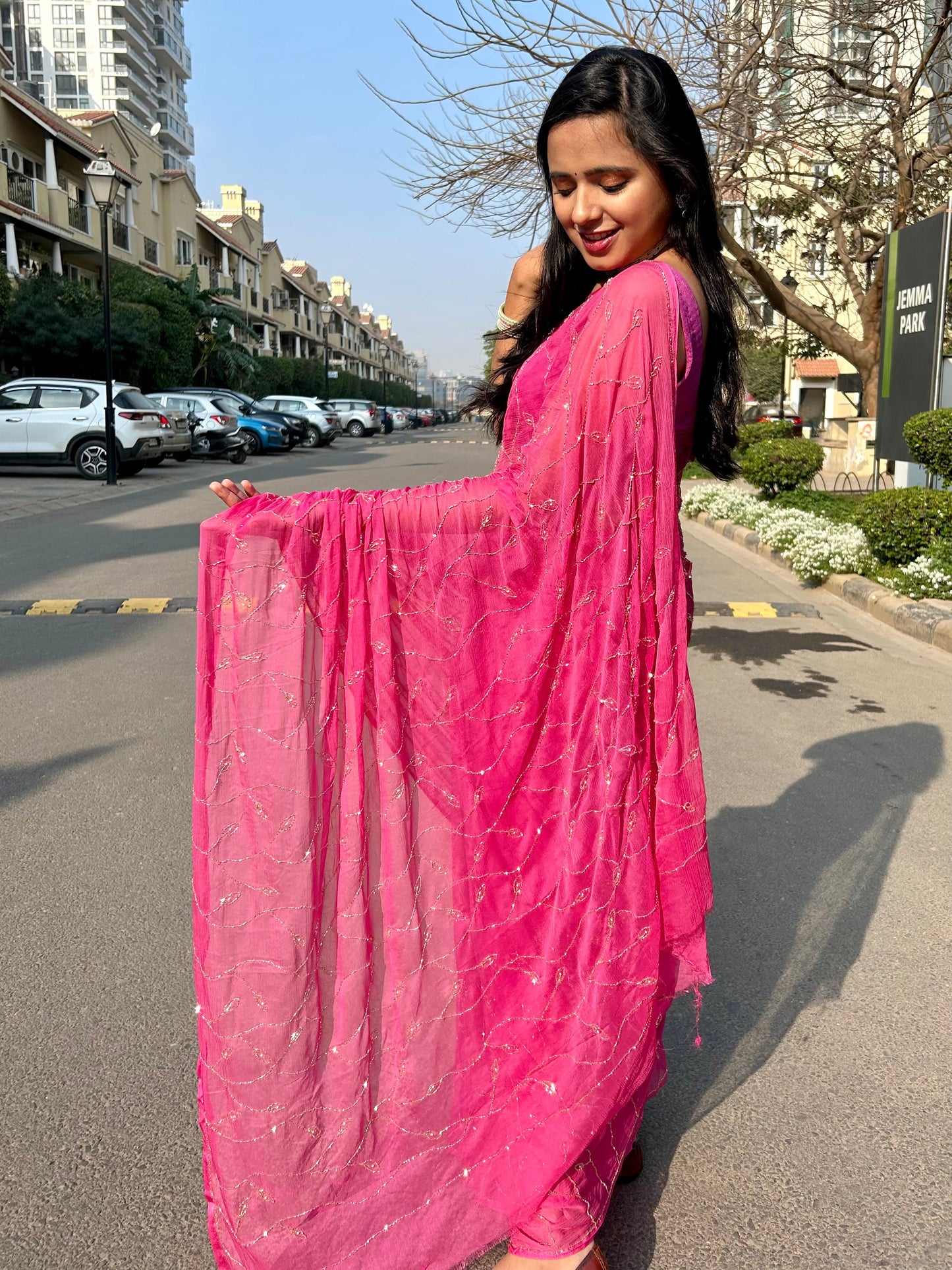 Raina Chiffon Saree