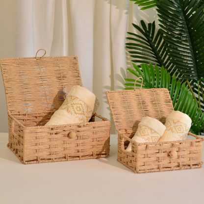 Raffia Storage Boxes with Lid- Set of 2