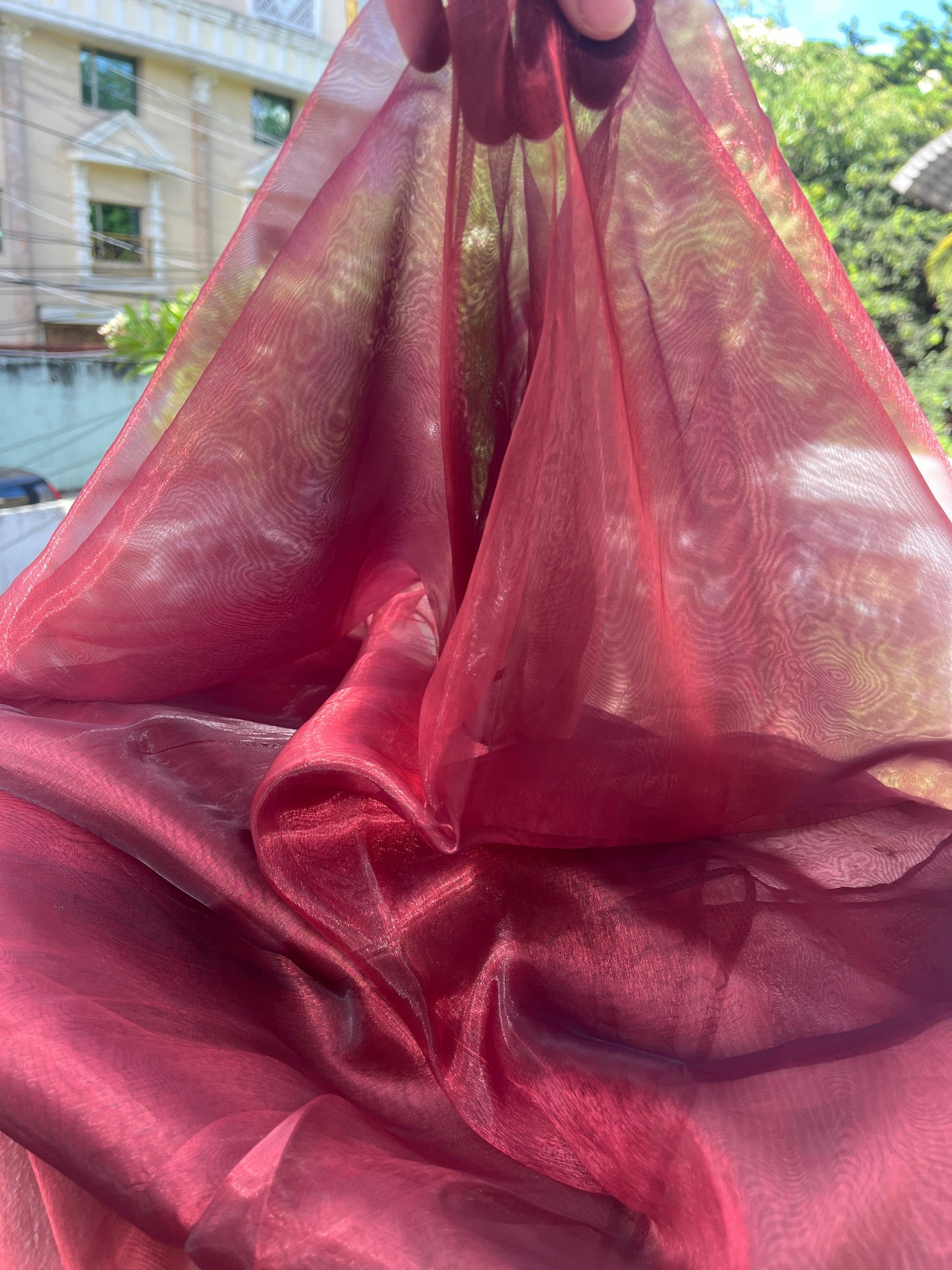 Blood Red Organza Saree