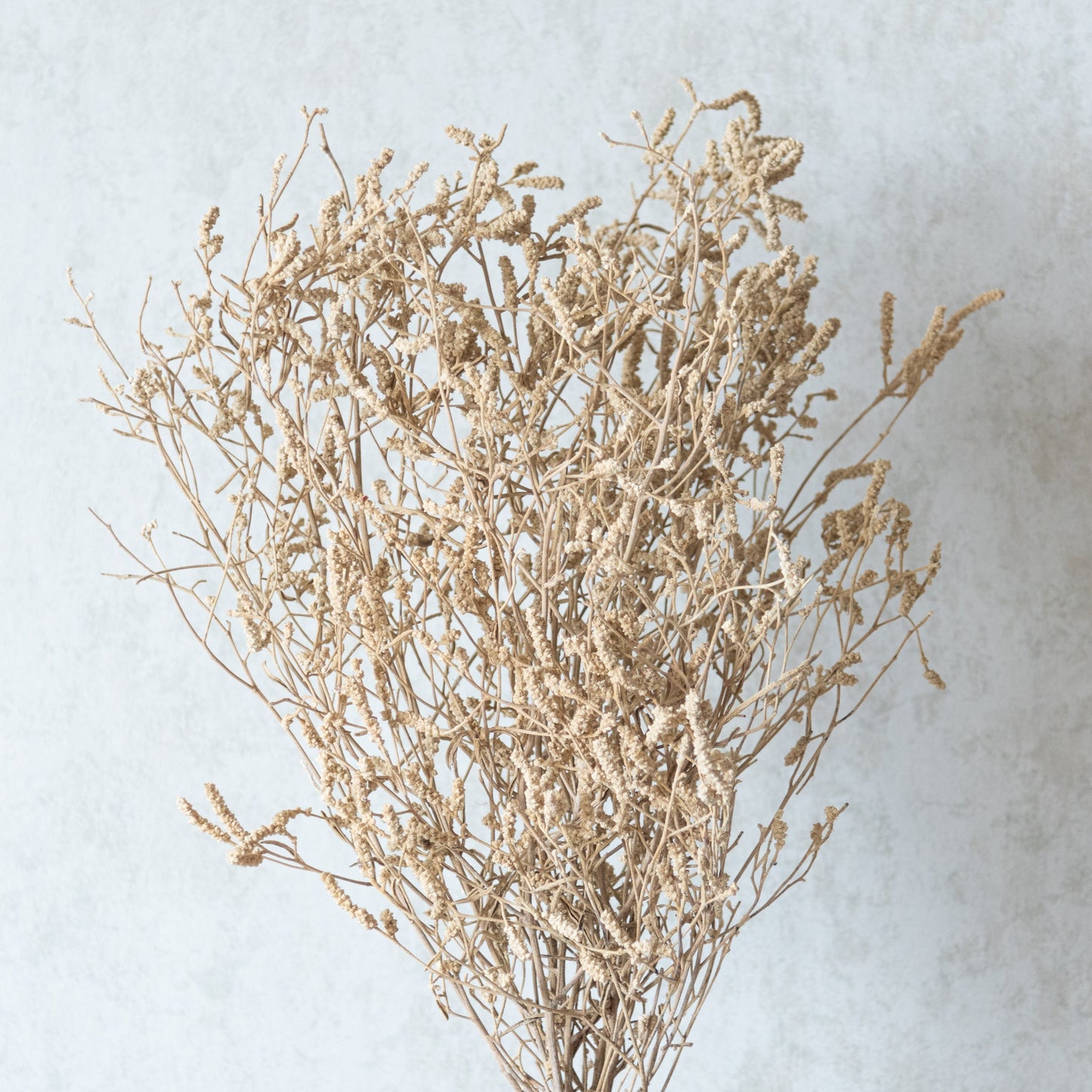 Dried German Statice Grass (100 Grams)
