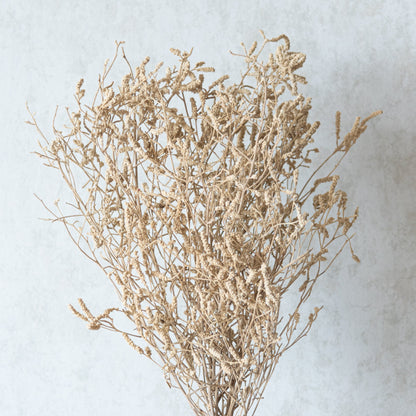 Dried German Statice Grass (100 Grams)