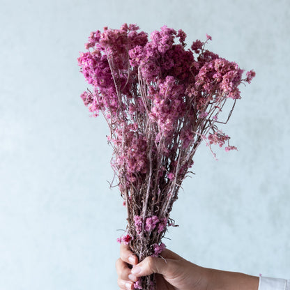 Light Pink Everlasting Gypsy Bunch