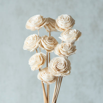 White Sola Beauty Rose Sticks (10 sticks)