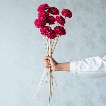 Carnation Sola Flower Sticks (10 sticks)