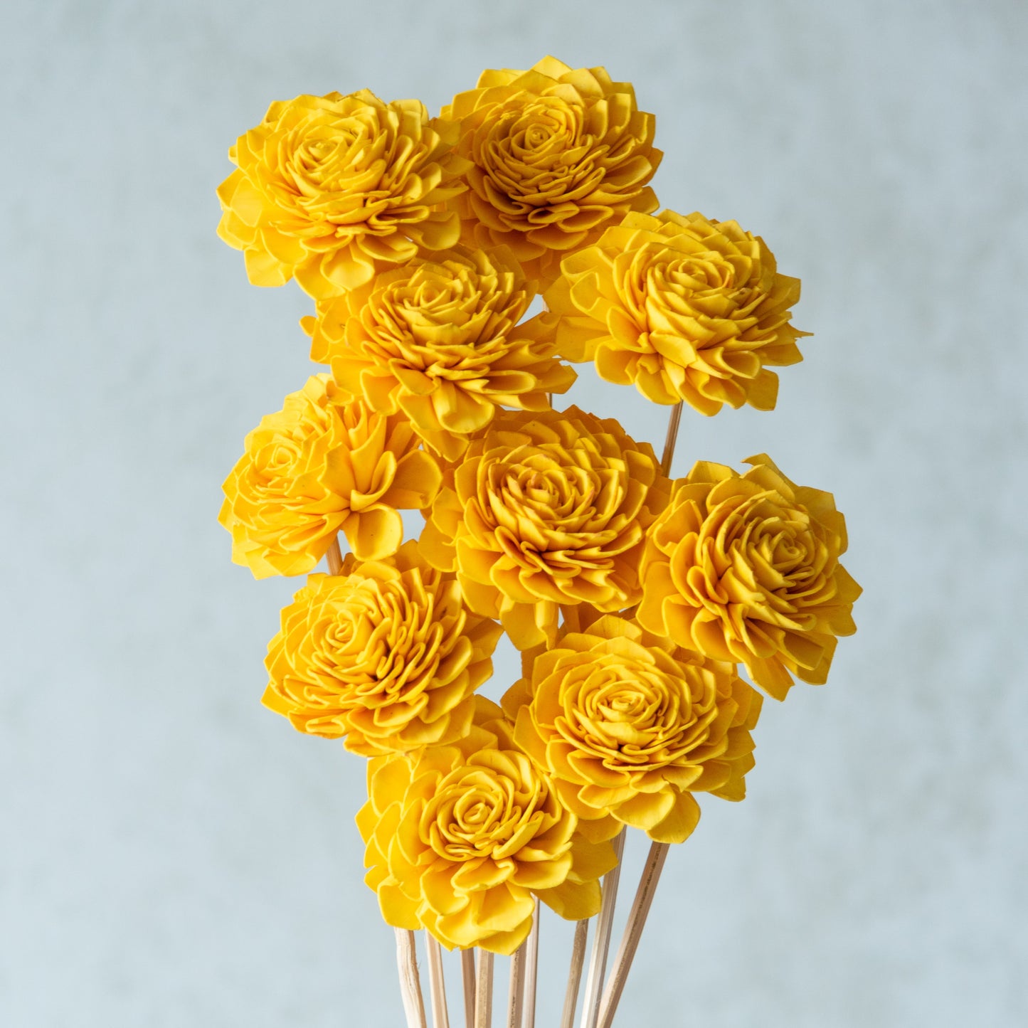 Yellow Sola Bingo Flower Sticks (10 Sticks)