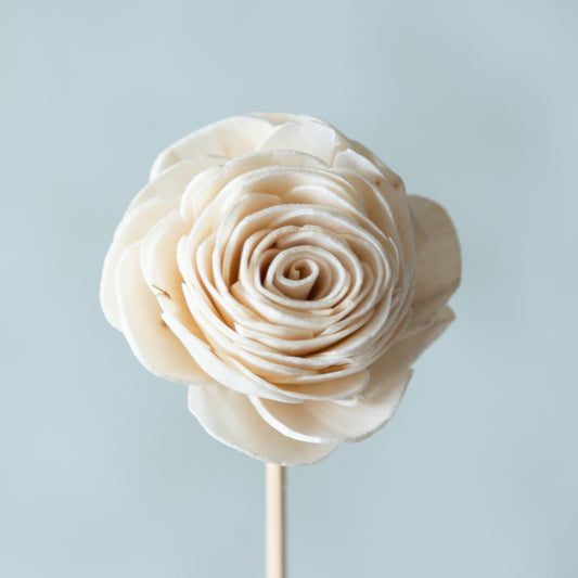 White Sola Beauty Rose Sticks (10 sticks)