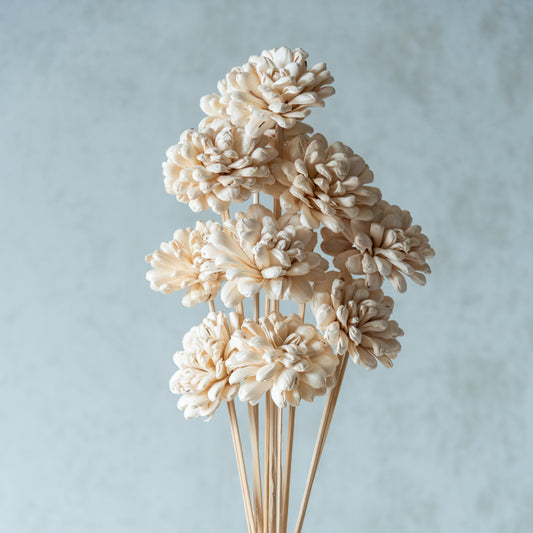 White Sola Fancy Flower Sticks (10 sticks)