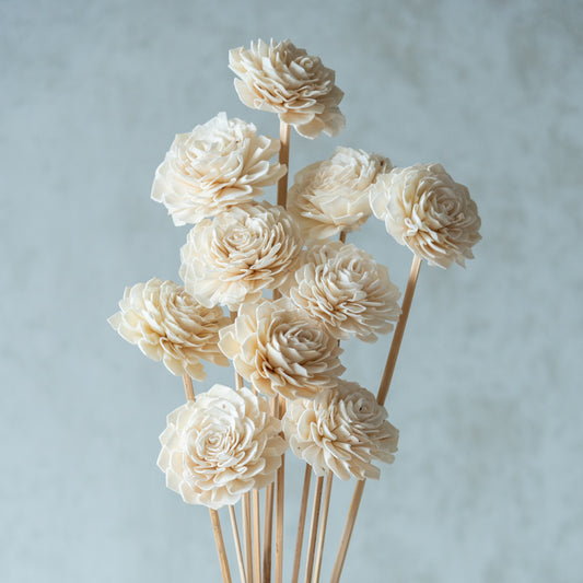 White Sola Bingo Flower Sticks (10 Sticks)