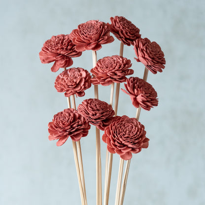 Sola Wood Flowers Sticks (10 Sticks)