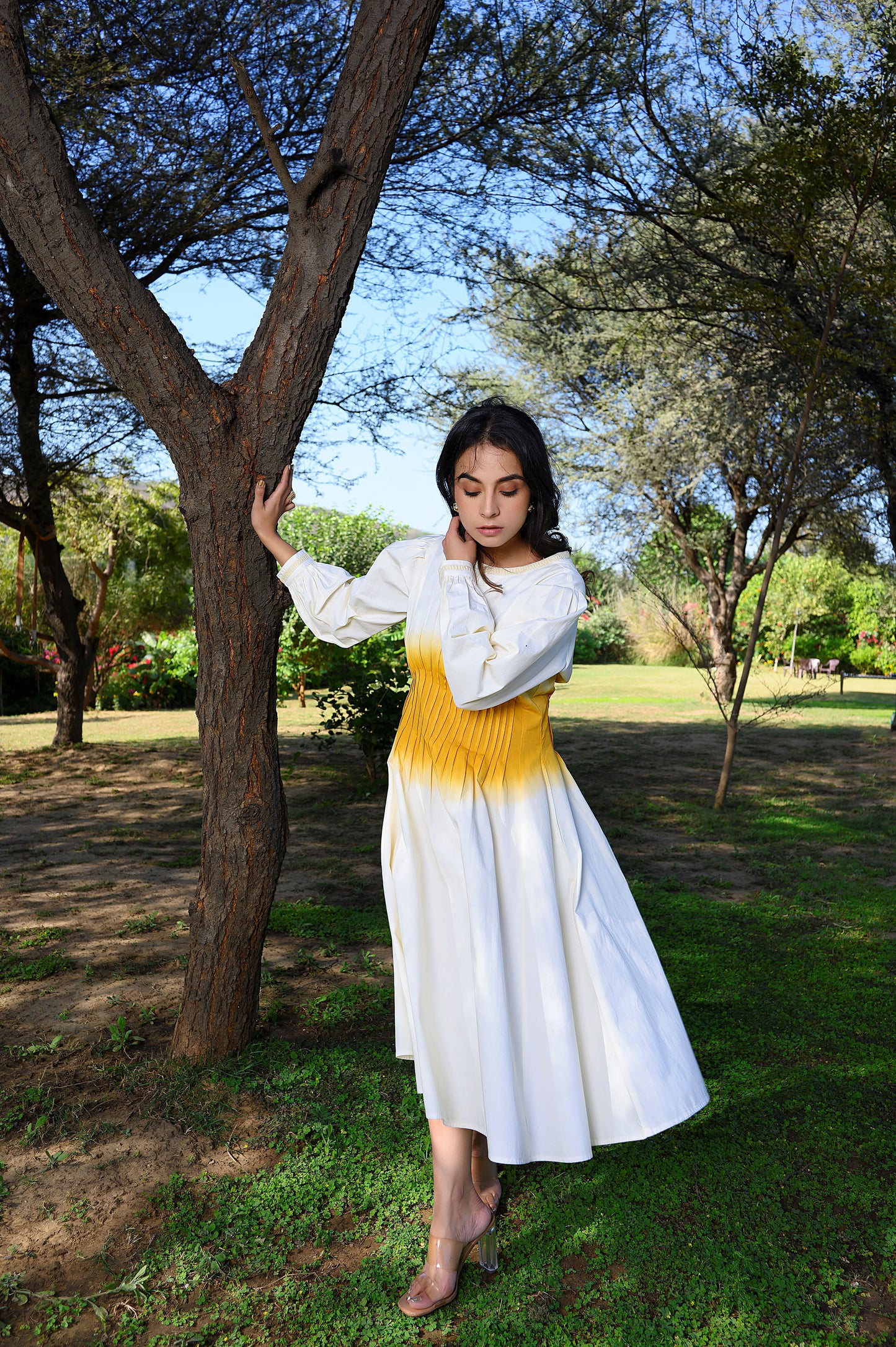 Avaani A-line Twill Dress