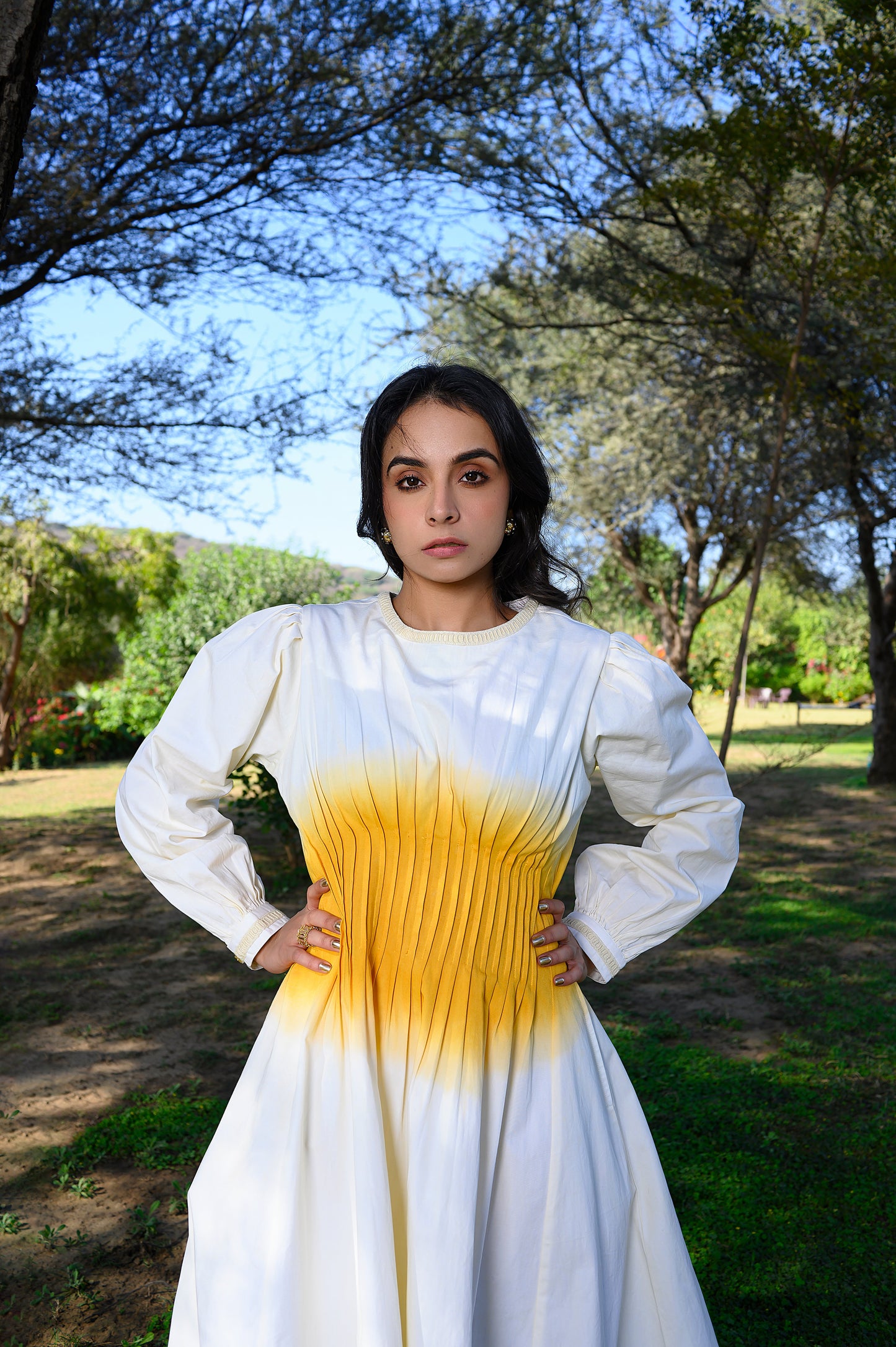 Avaani A-line Twill Dress