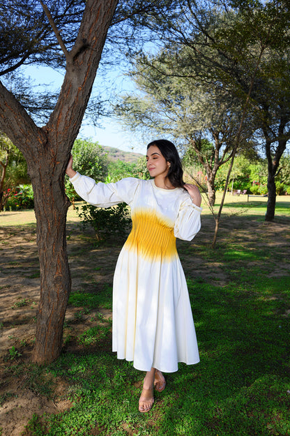 Avaani A-line Twill Dress