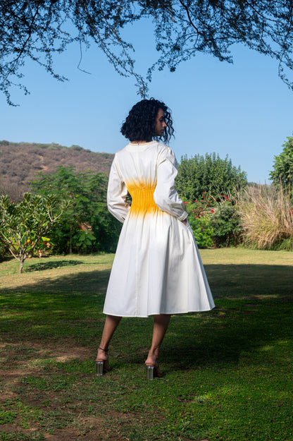 Avaani A-line Twill Dress