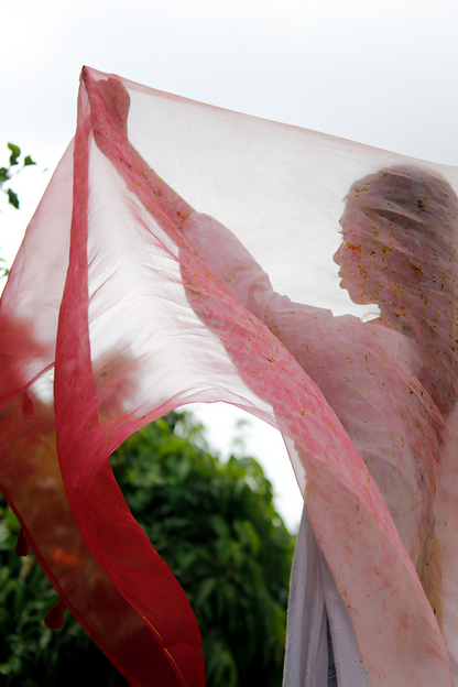 s2-Picsart-AiImageEnhancer