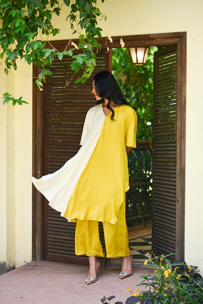 Bhumi Dual Color Co-ord Set