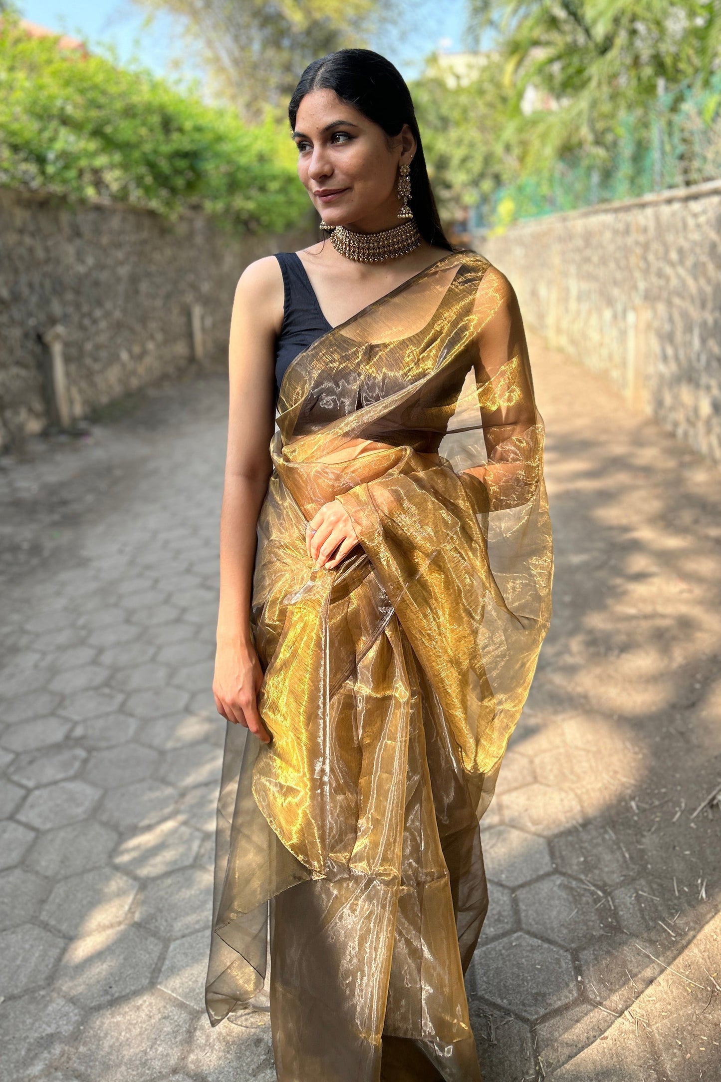Glimmering Shadows Black-Gold Organza Saree