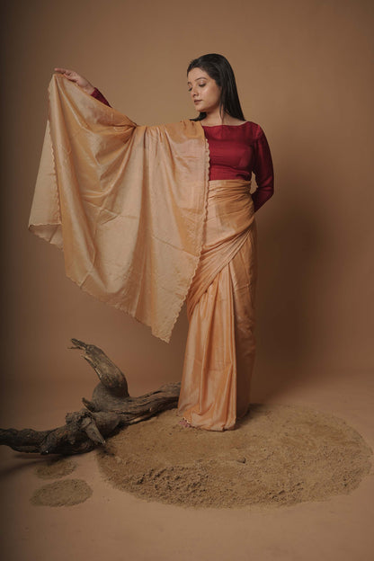 Goldilocks Garden Dark Beige Scallop Border Cotton Silk Saree