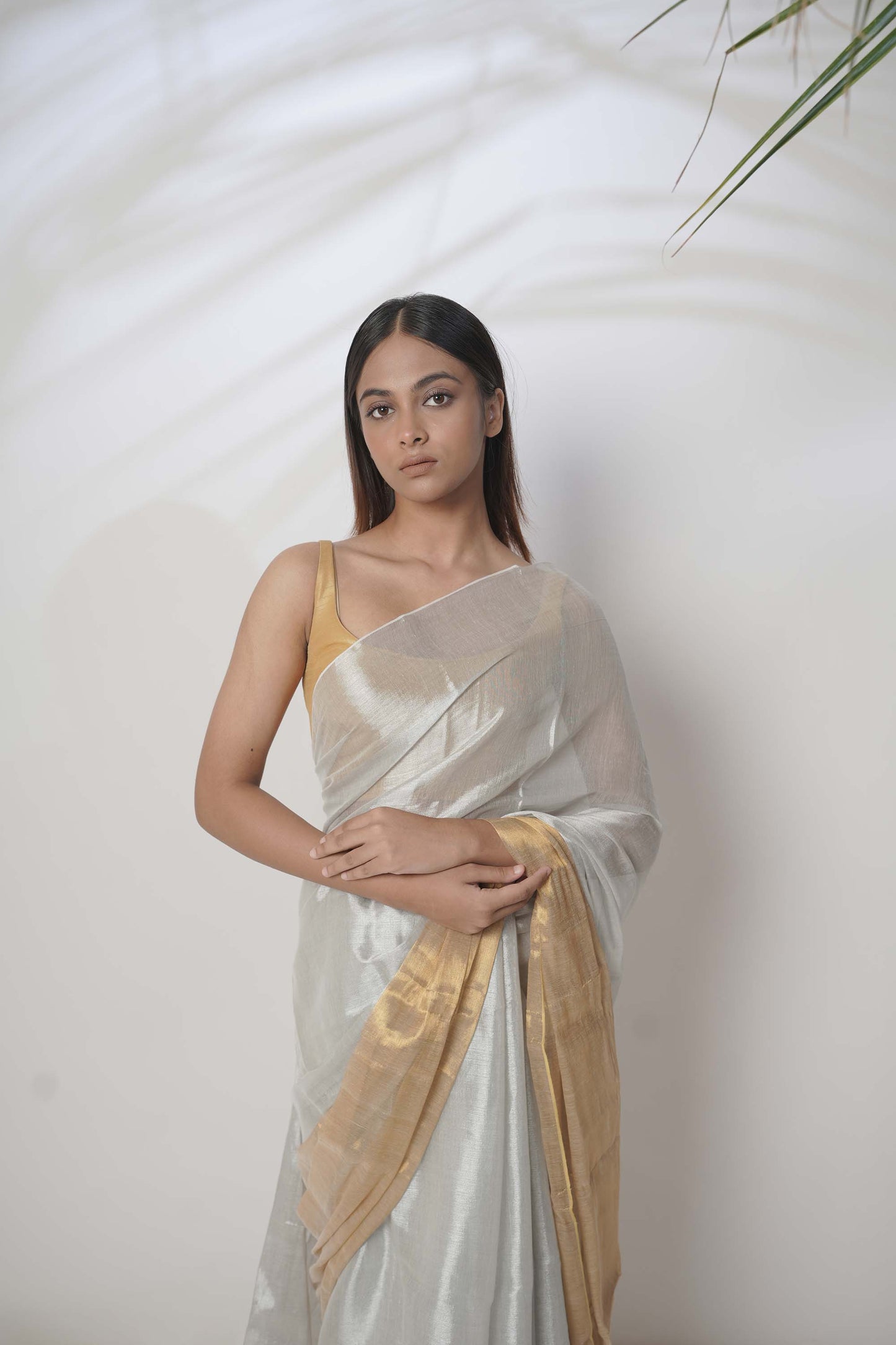 Aarna Gold Border Tissue Saree