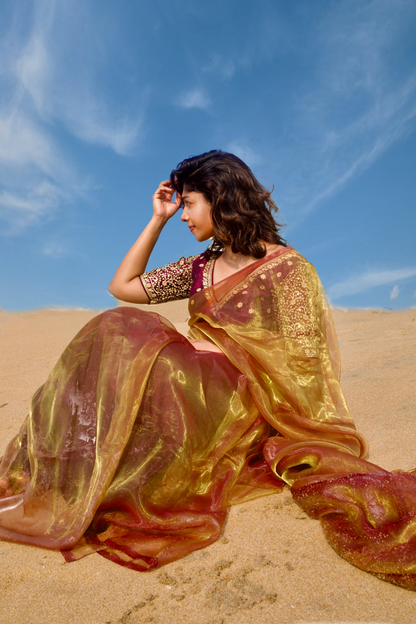 Sunkissed Hazel Organza Saree