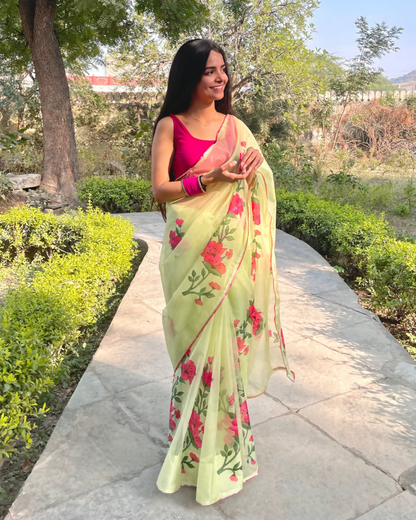 pistachio 'nazaara' hand-painted saree (3)