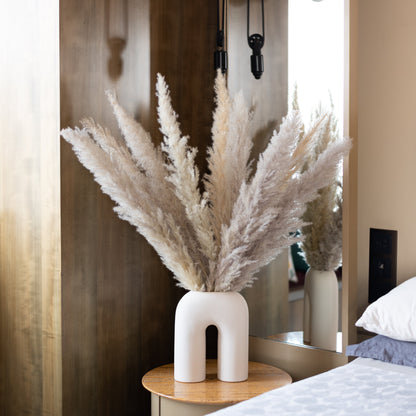 Glow Pampas Grass (Pack of 10 Sticks)